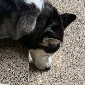 Meet your Posher, Evan